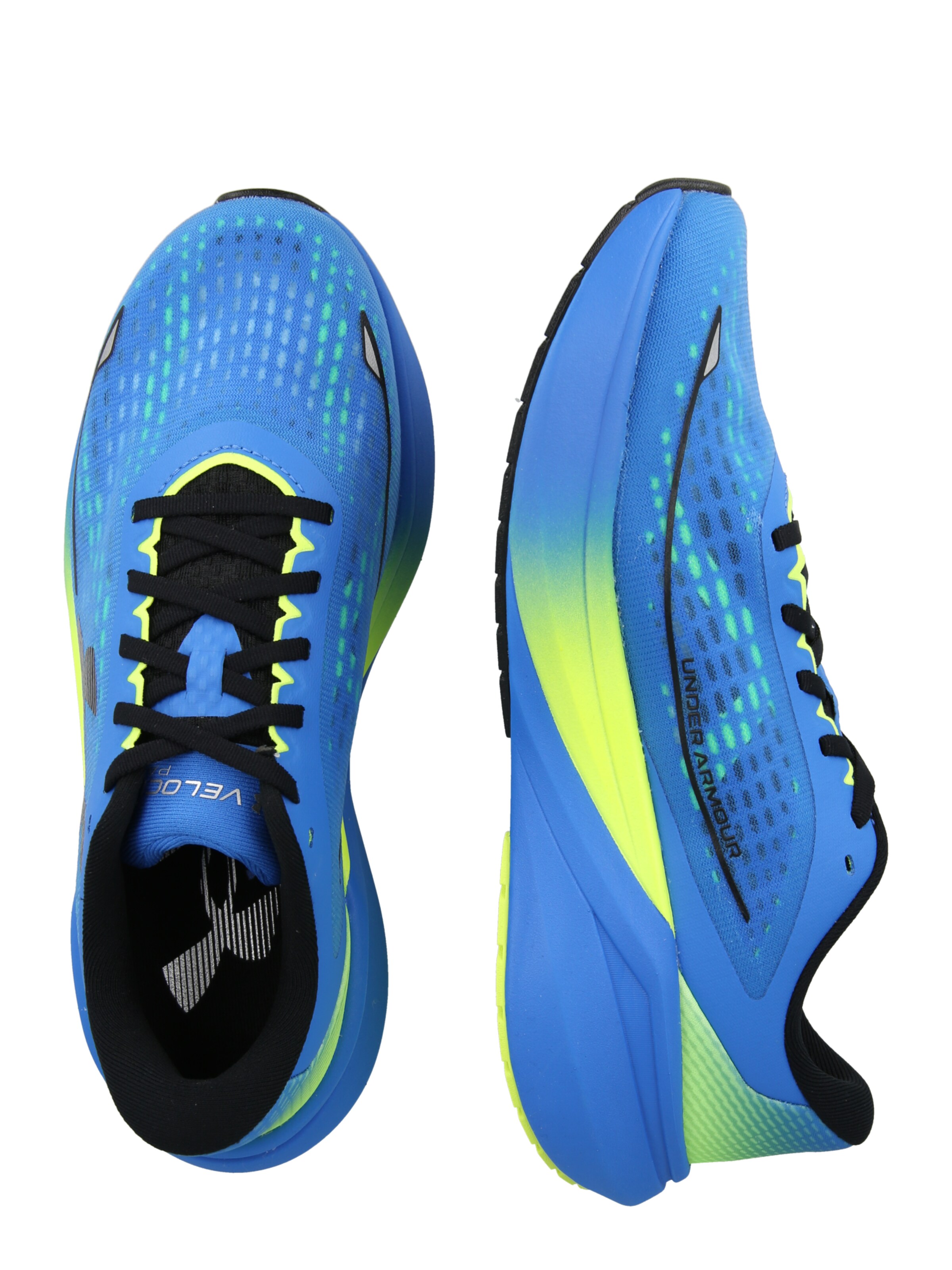 UNDER ARMOUR Loopschoen 'Velociti Pace' in Blauw