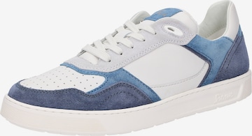 SIOUX Sneaker 'Tedroso-704' in Blau: Vorderseite