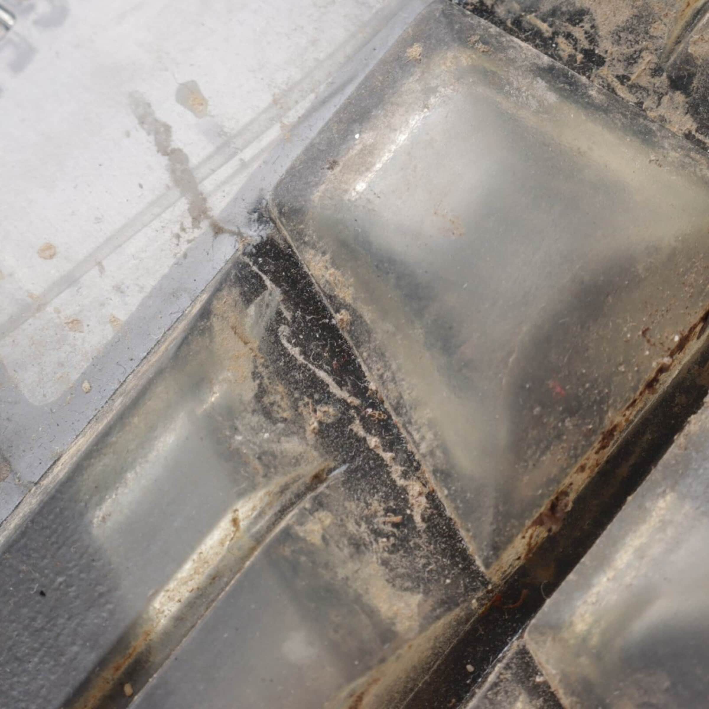 Copenhagen Studios Anke & Mid-Calf Boots in 41 in Black