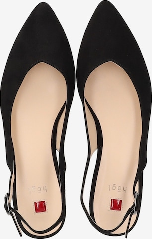 Högl Ballet Flats with Strap in Black