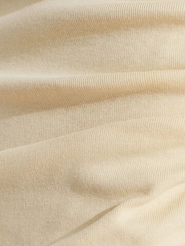 Dilvin Blouse 'Blusen' in Beige
