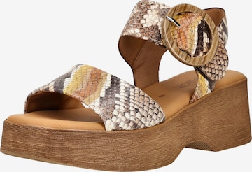 Sandales GABOR en marron : devant