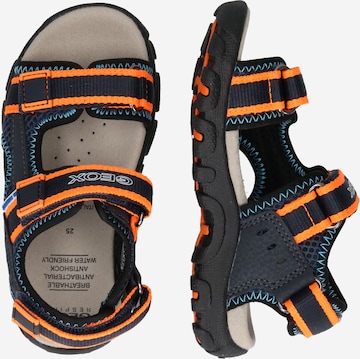 GEOX Sandals & Slippers 'Strada' in Blue