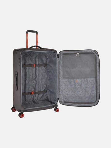 Roncato Trolley in Grijs