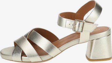 GEOX Sandalen met riem in Goud