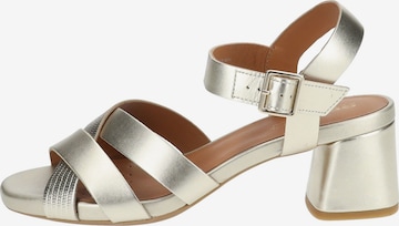 GEOX Sandalen met riem in Goud