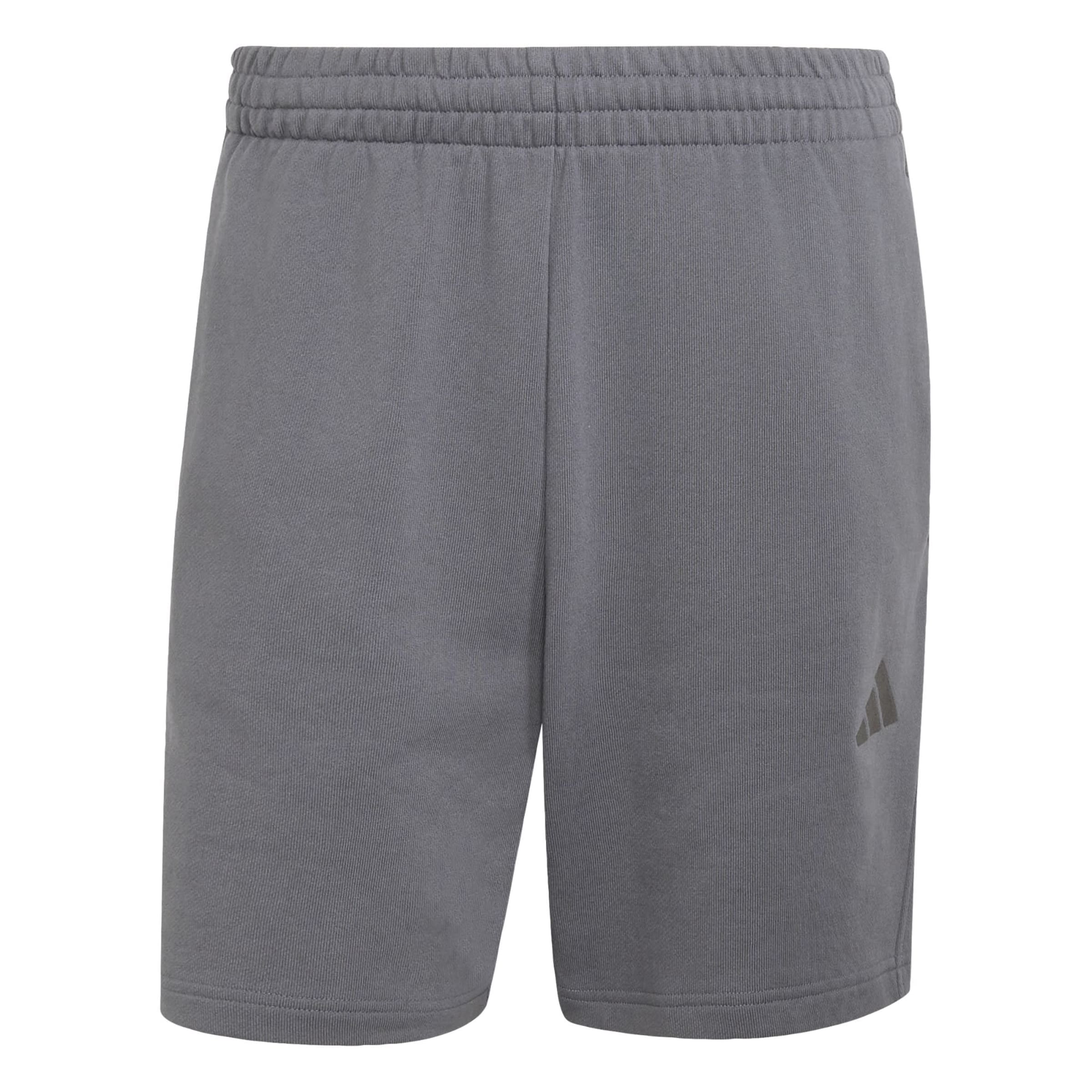 regular Pantaloni sportivi di ADIDAS SPORTSWEAR in grigio