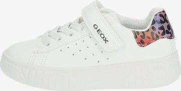 GEOX Sneakers in Wit