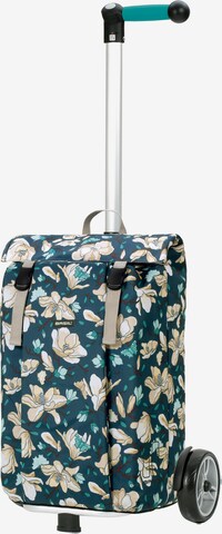 Andersen Shopper Trolley in Groen: voorkant