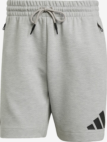 ADIDAS SPORTSWEAR Обычный Спортивные штаны 'Z.N.E.' в Серый: спереди