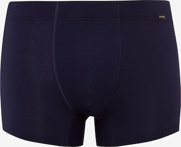 Hanro Pants 2-Pack ' Cotton Essentials ' in Blau