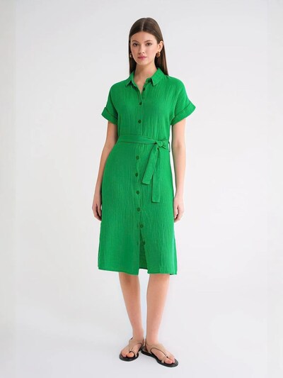 MixRay Robe-chemise 'Midi' en 38 en vert, Vue avec produit