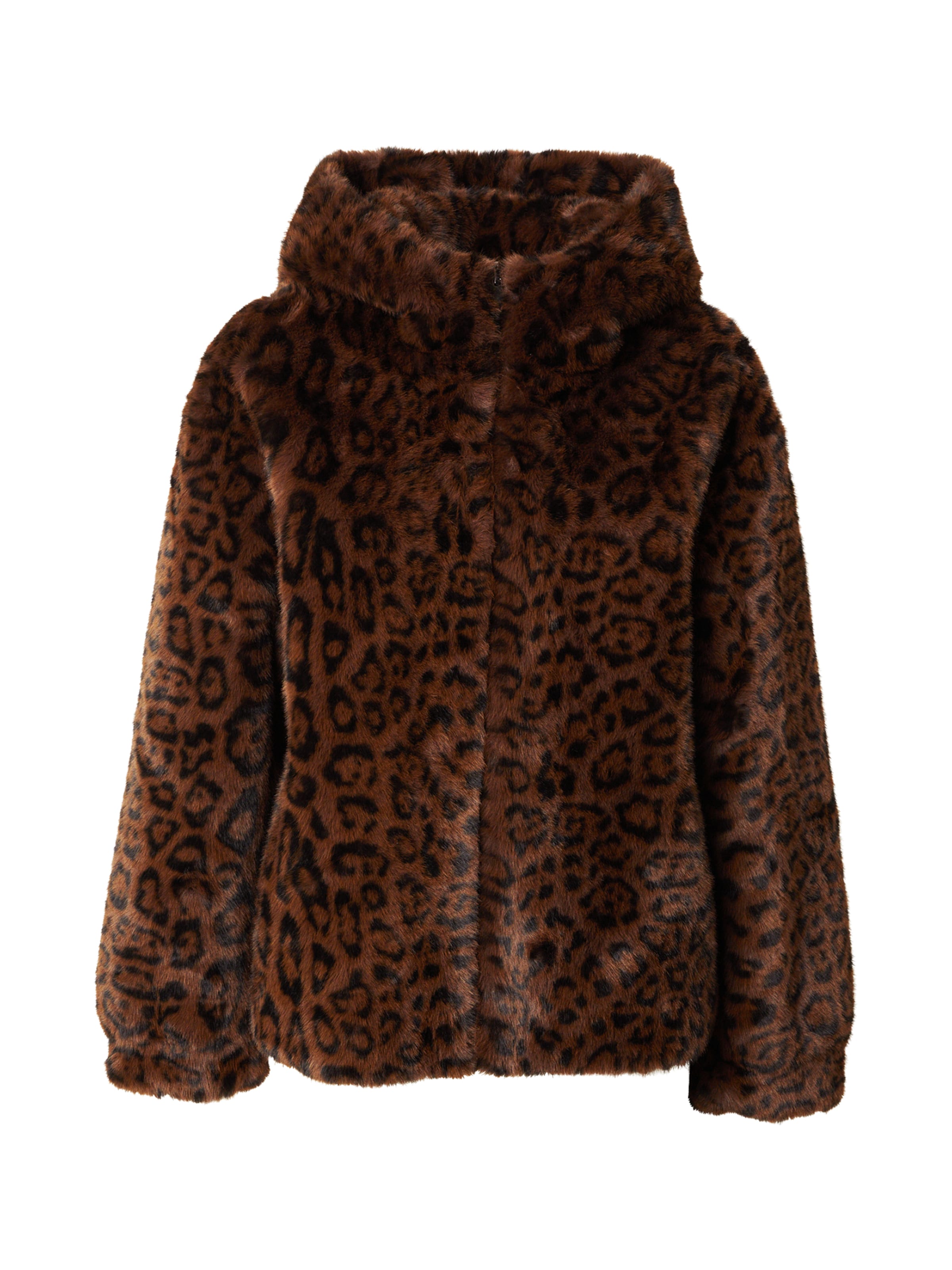 Derhy Χειμερινό μπουφάν 'RITOURNELLE' σε καφέ: μπροστά