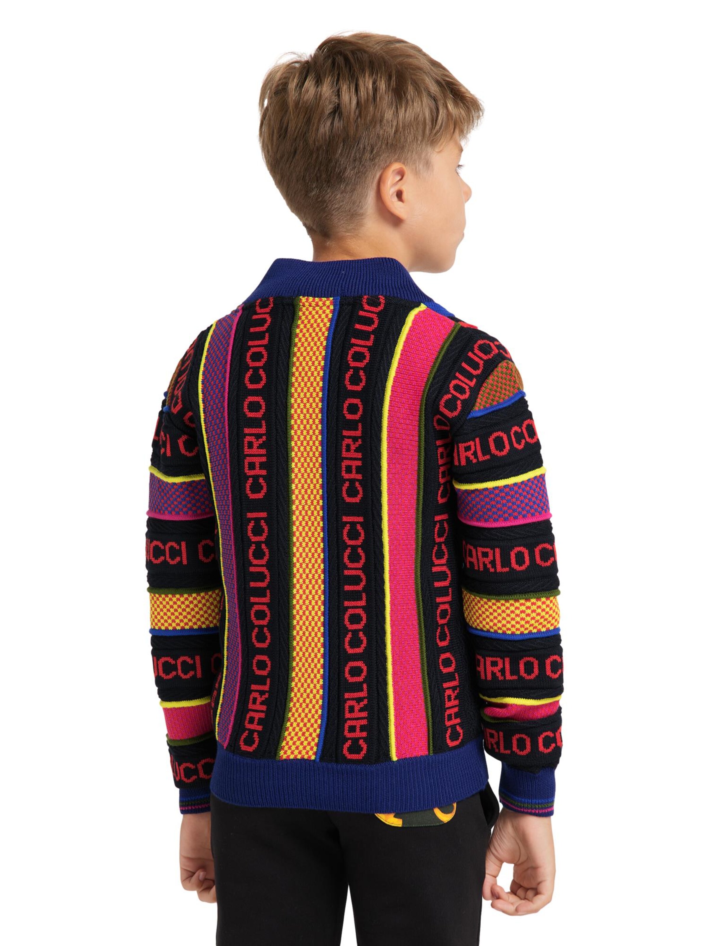Carlo Colucci Knit cardigan 'Castelforte' in Mixed colours