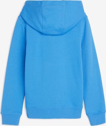 TOMMY HILFIGER - Sweatshirt 'Essential' em azul