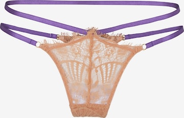 LingaDore Thong in Purple: front