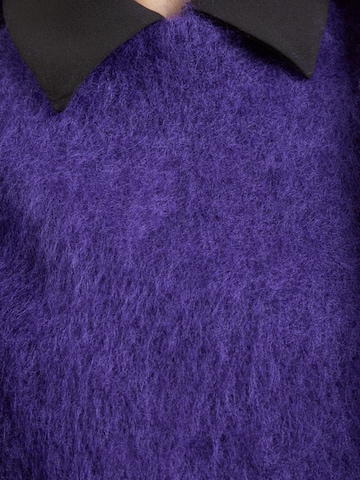 Pull-over & Other Stories en violet