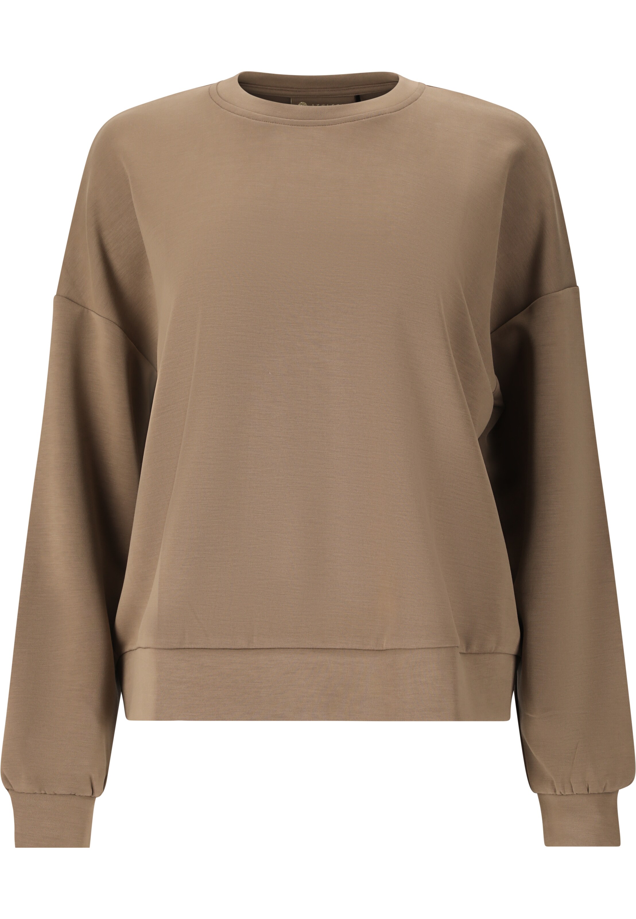 Athlecia Sweatshirt 'Jillnana' in Braun: Vorderseite