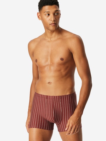 SCHIESSER Boxershorts in Rot