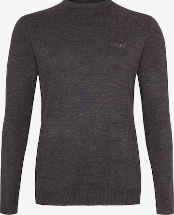 Cocain Underwear Sweater in Grey: front
