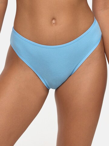 Nur Die Panty 'Mini' in Mixed colors: front