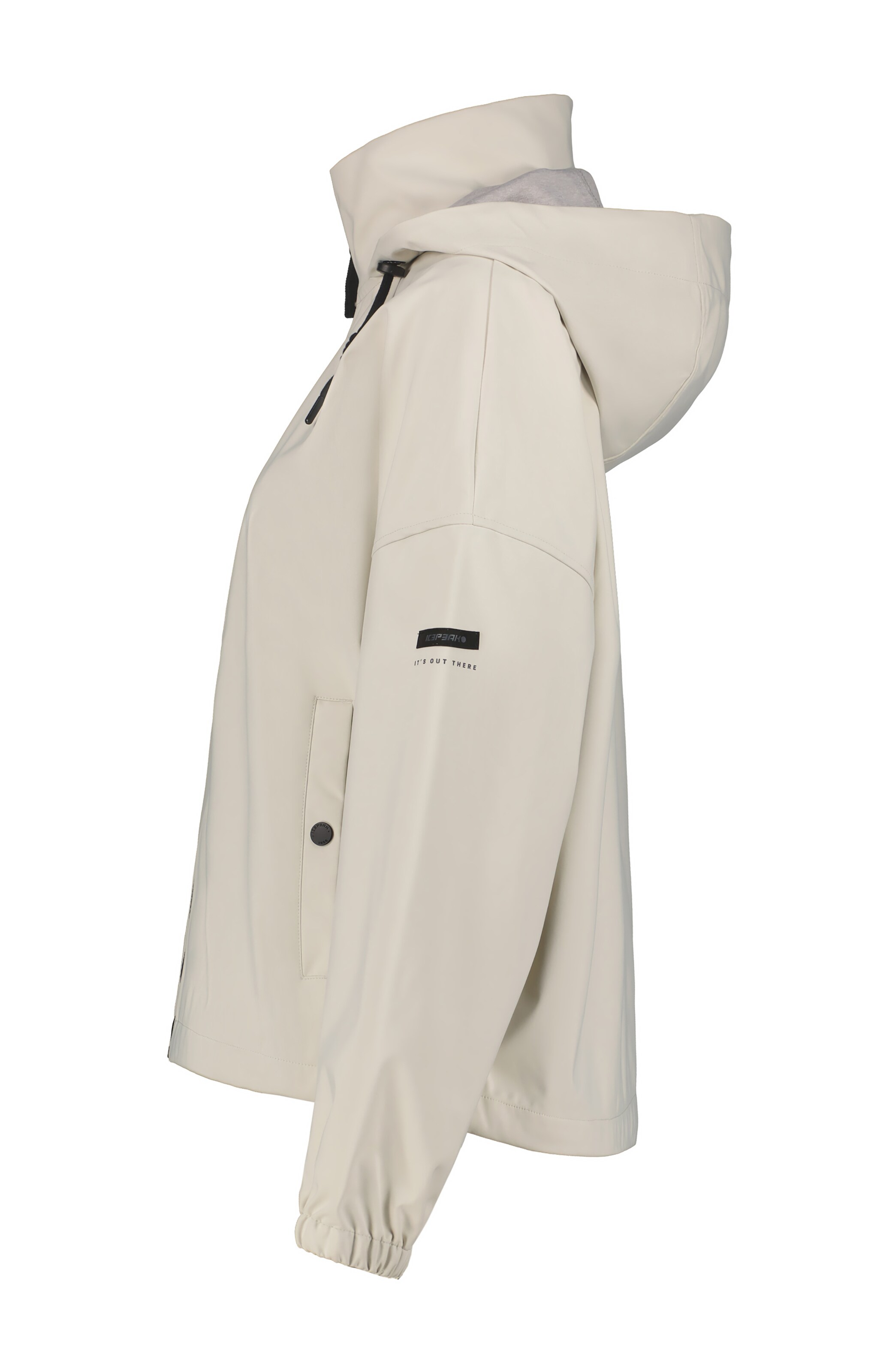 ICEPEAK Outdoor Jacket 'Adriam' in Beige