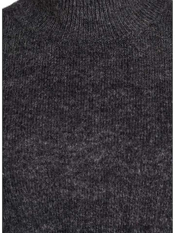 Zizzi Trui 'Mlea' in Grijs