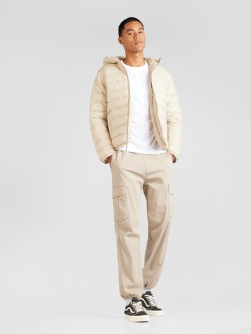 HOLLISTER Regular Cargo trousers in Beige