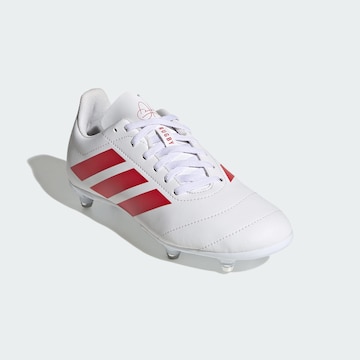 ADIDAS PERFORMANCE - Calzado deportivo en blanco