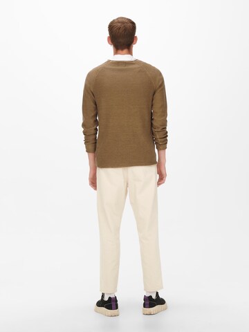 Only & Sons Regularny krój Sweter 'Dextor' w kolorze brązowy