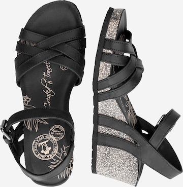 PANAMA JACK Strap Sandals 'Vera' in Black