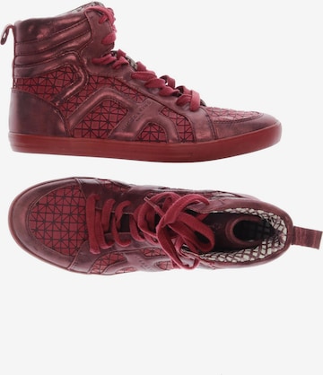 Liebeskind Berlin Sneaker 39 in Rot: Vorderseite