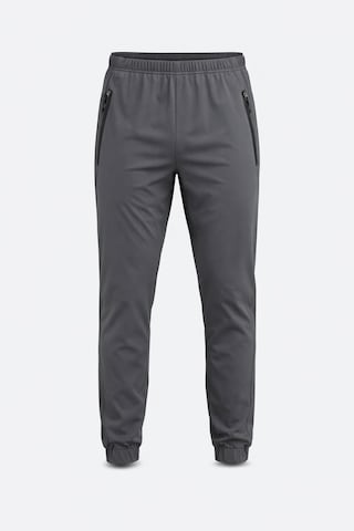 BRAVE SOUL Tapered Bukser i grå