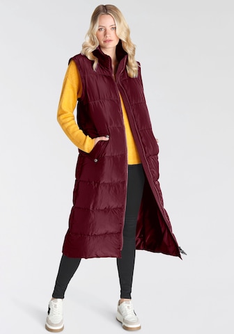 ONLY Winter Coat in Brown