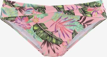 s.Oliver Bikinihose in Pink: front