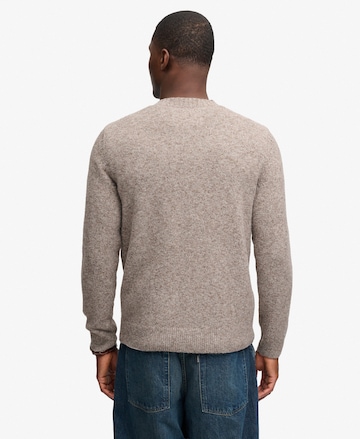 Superdry & Co Trui in Bruin