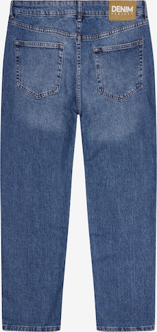 Denim Project Regular Jeans 'Boston' in Blauw
