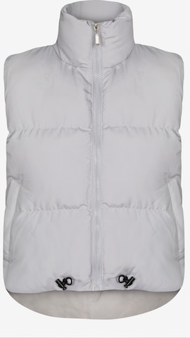 Jimmy Sanders Bodywarmer in Grijs: voorkant