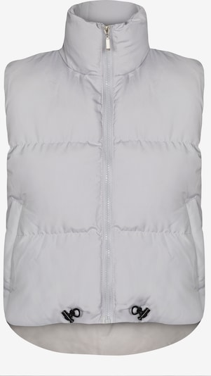 Jimmy Sanders Gilet en gris clair, Vue avec produit