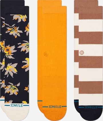 oranžinė Stance Kojinės 'Equinox': priekis