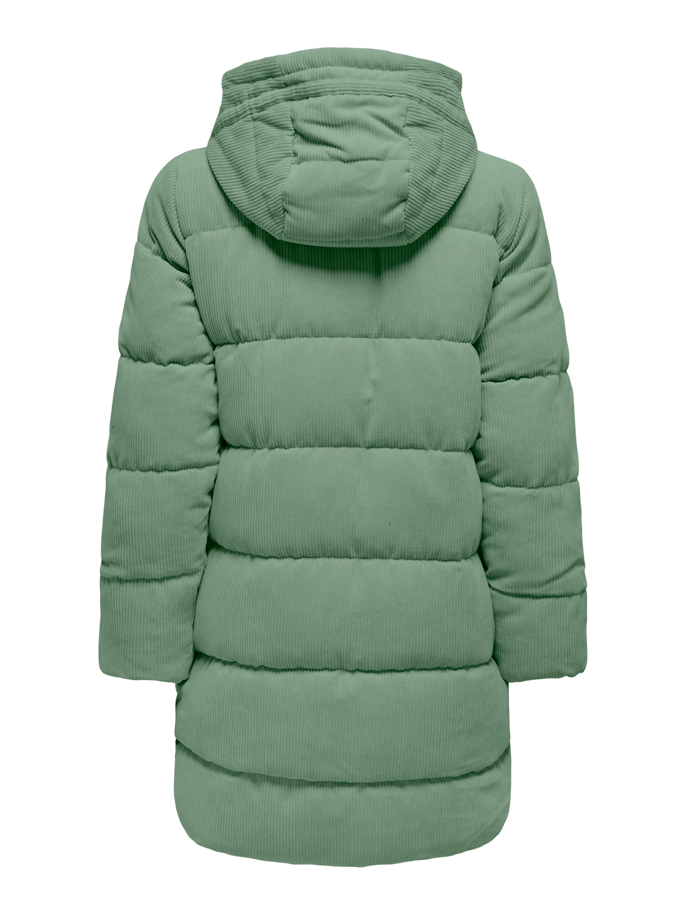 ONLY Зимняя куртка 'ONLDOLLY' в Зеленый
