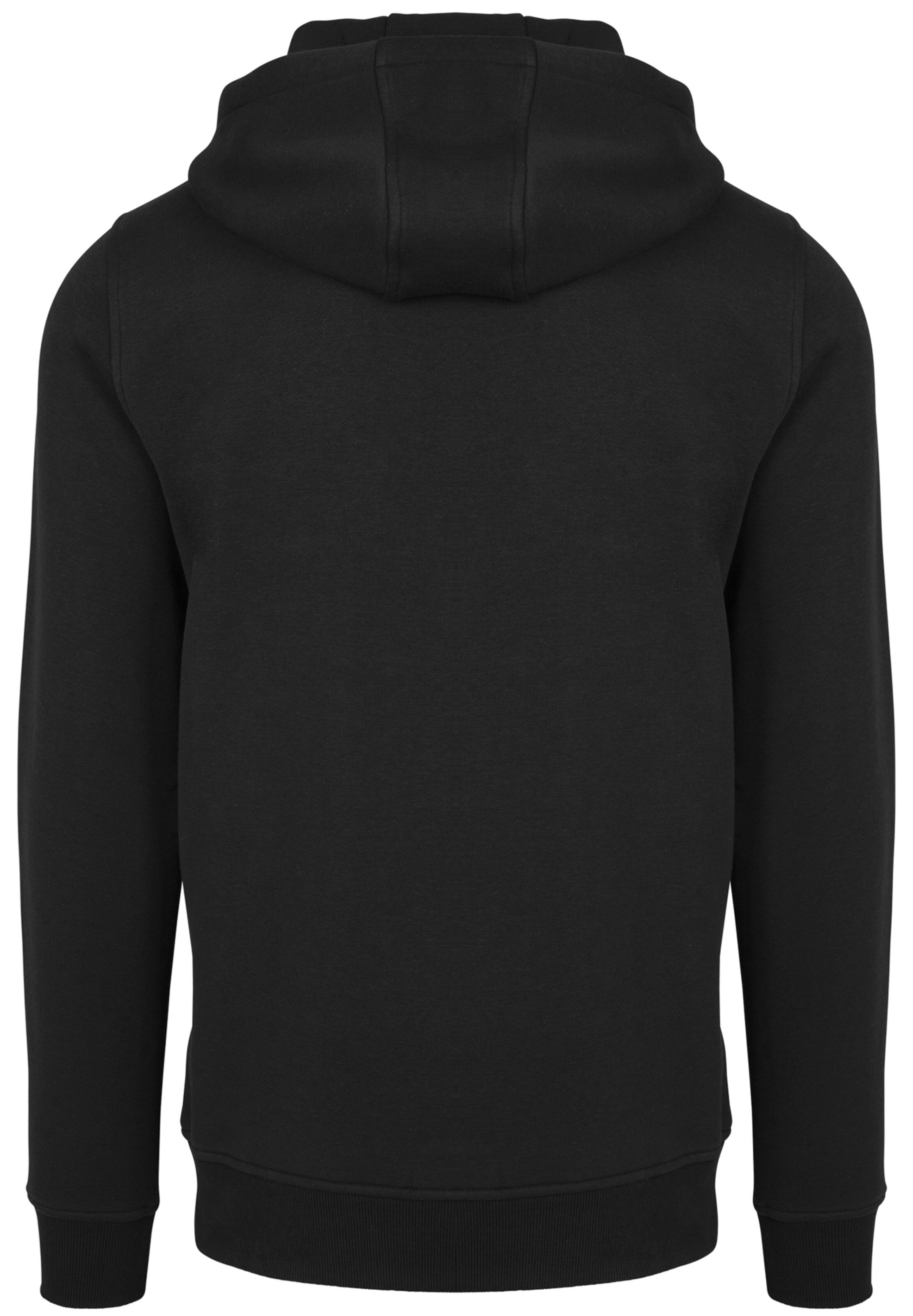 F4NT4STIC Sweatshirt 'DC Comics The Flash Sparks and Flash with Fitted' in Schwarz