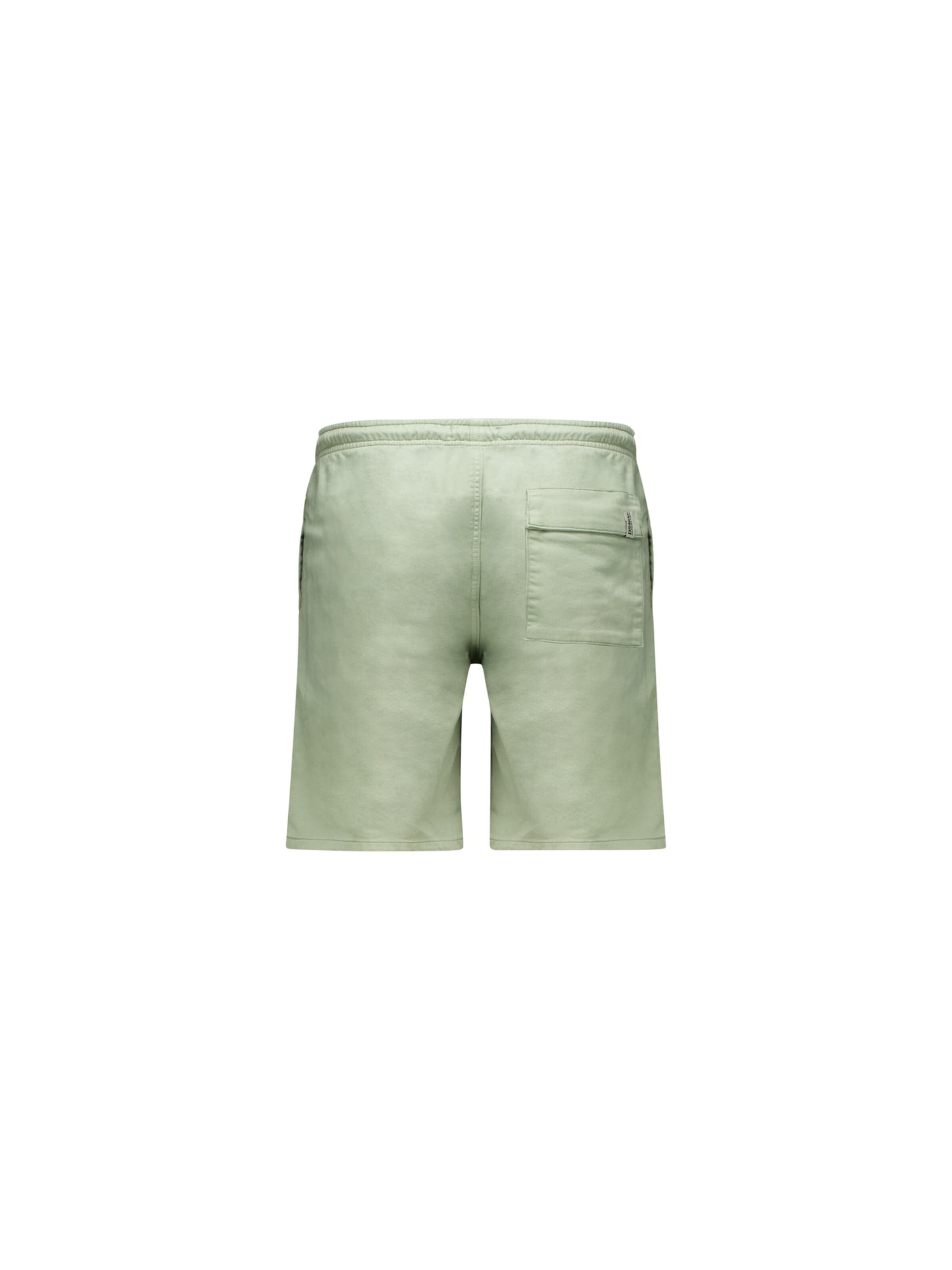 Regular Pantalon Deeluxe en vert