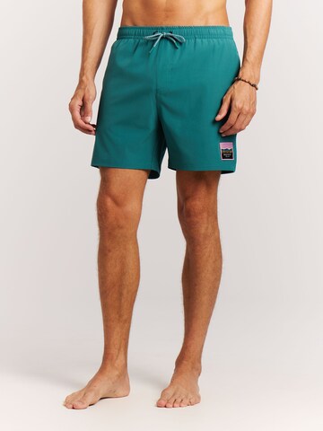 PROTEST Board Shorts 'PRTJayden' in Green
