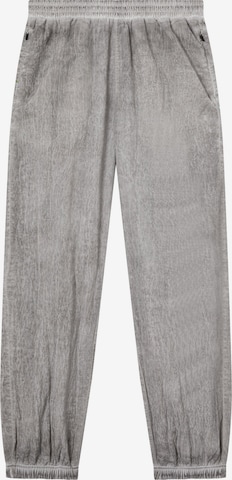 pilka Champion Authentic Athletic Apparel Siaurėjantis Sportinės kelnės: priekis