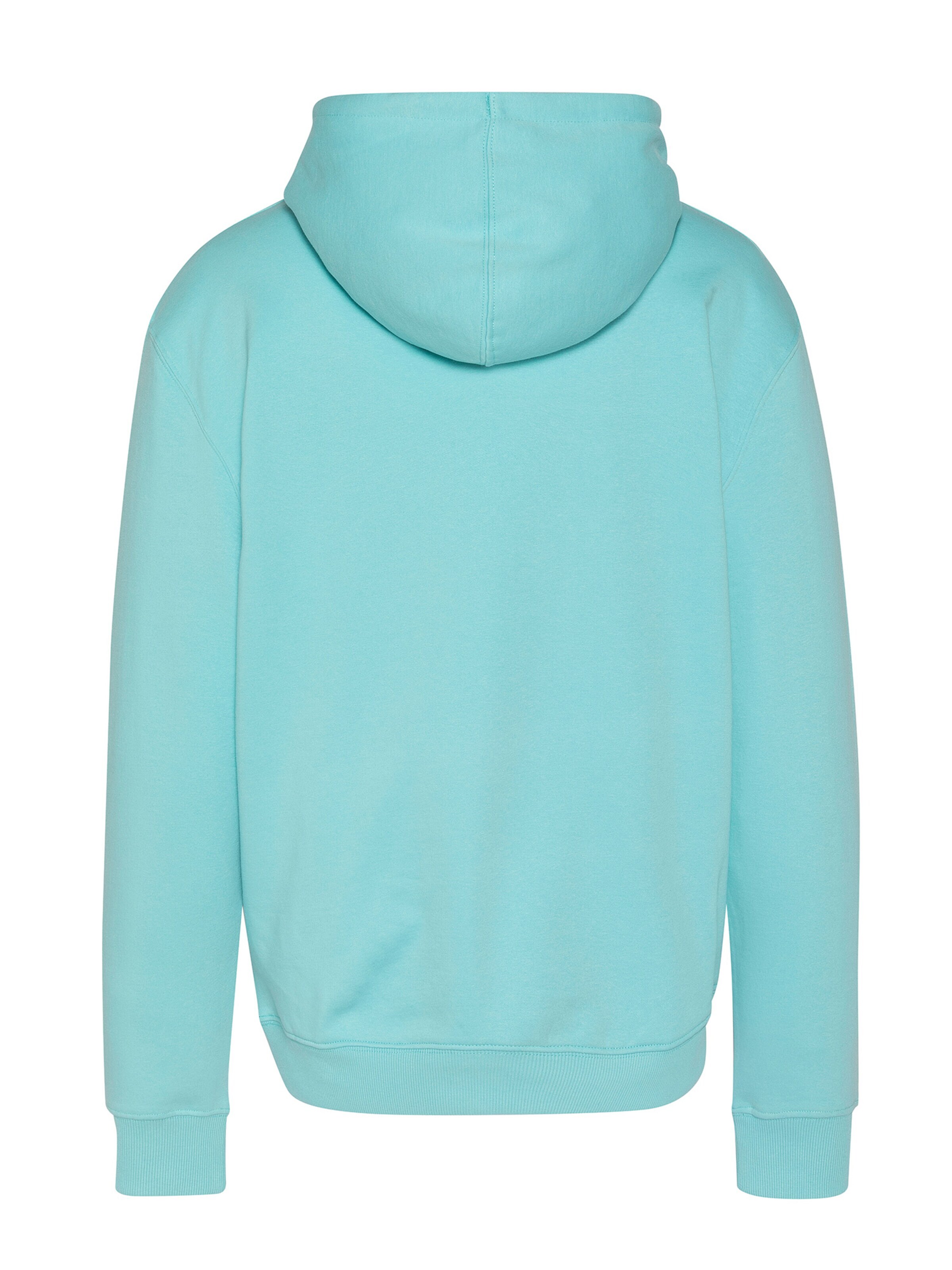 Schott NYC Sweatshirt in Blue