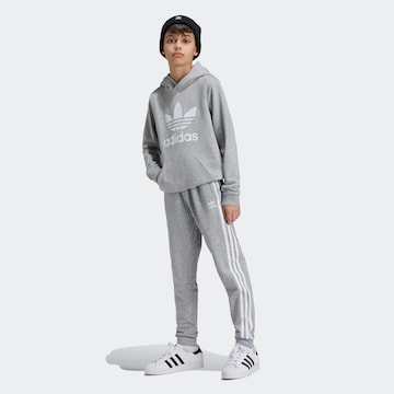 Effilé Pantalon 'Trefoil' ADIDAS ORIGINALS en gris