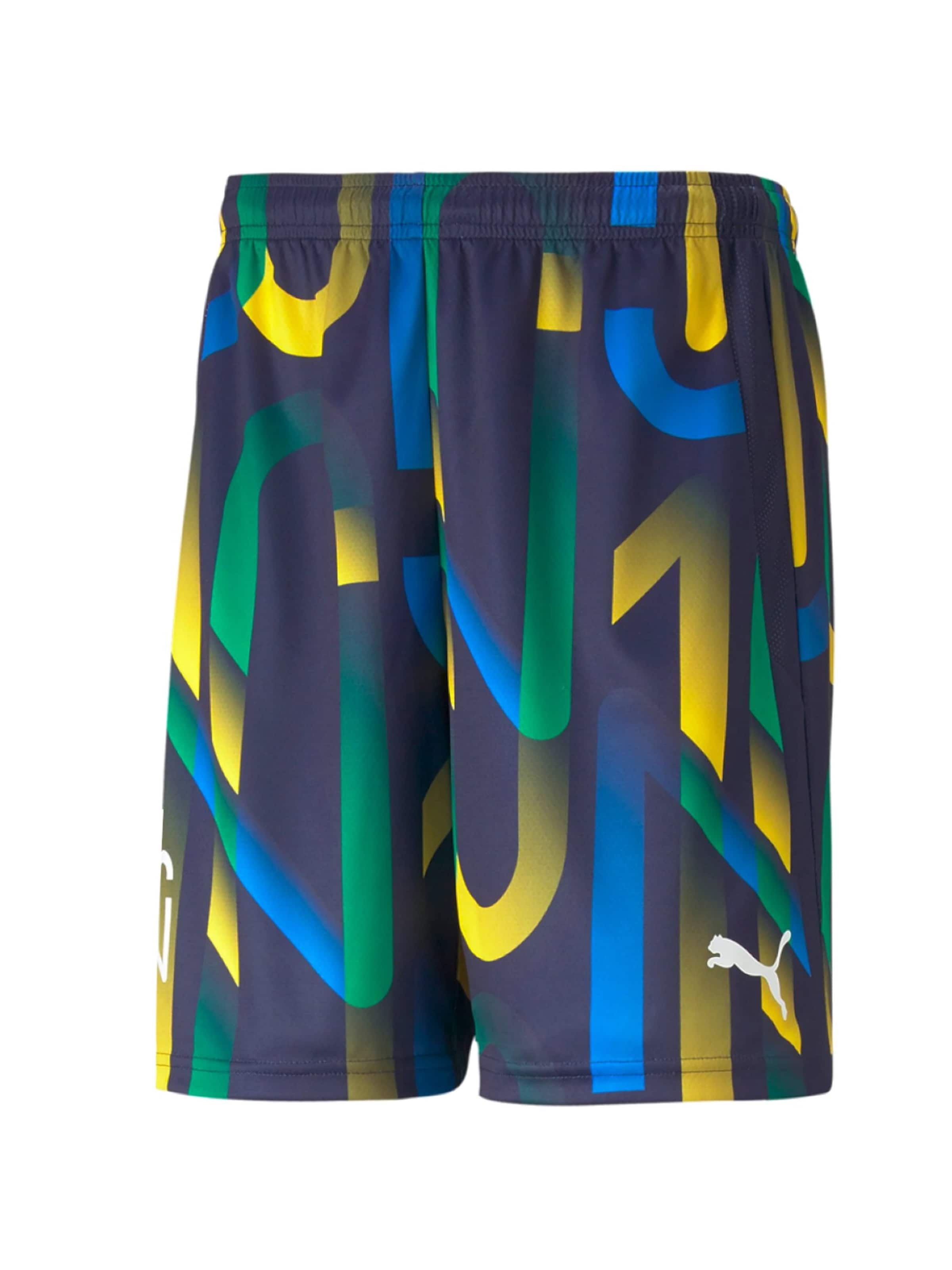 PUMA Sporthose 'Neymar Jr Future'‌‌ in L in mischfarben, Produktansicht