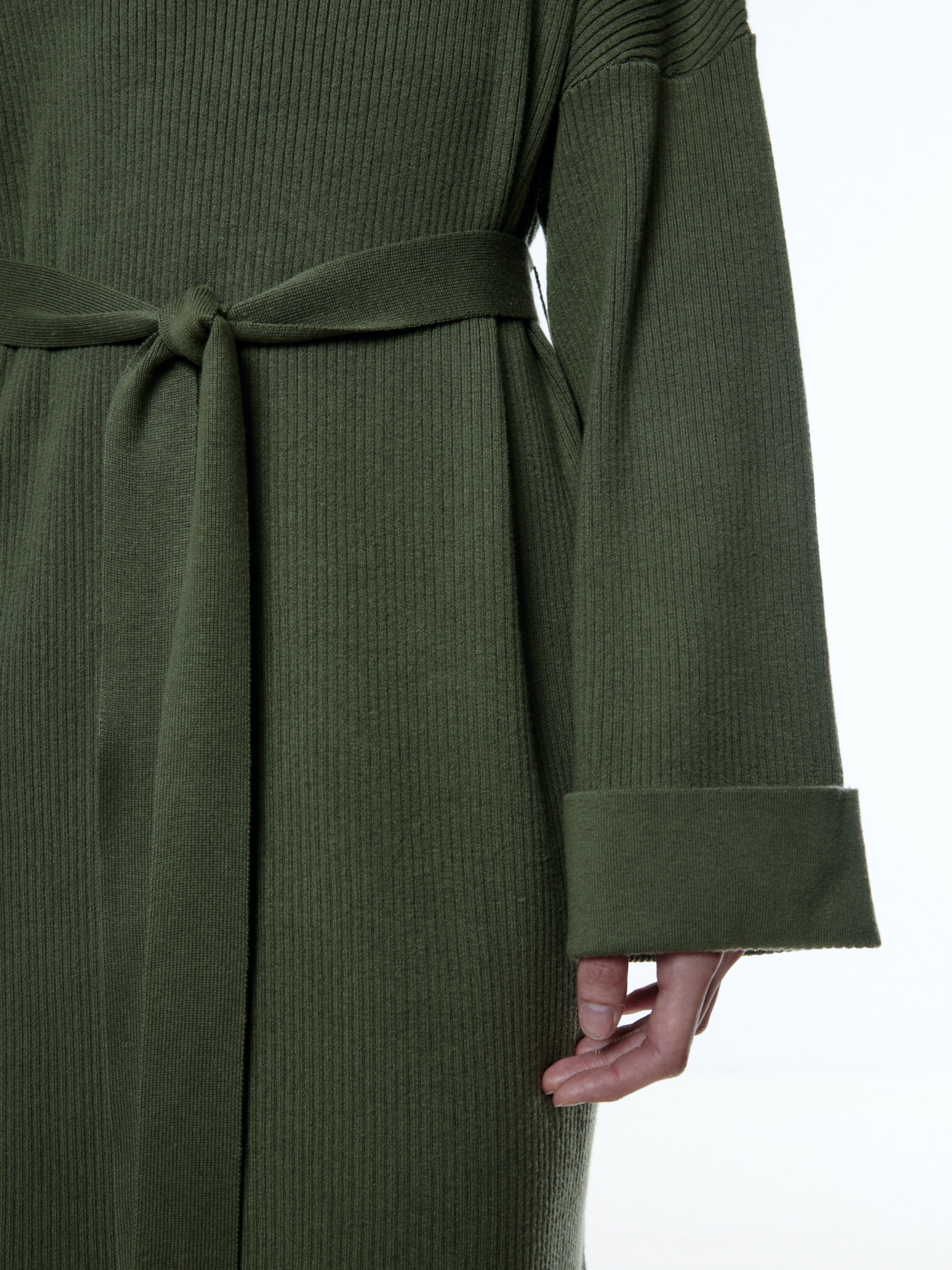 EDITED Produkte Kleid 'Nata' grün