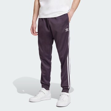 ADIDAS ORIGINALS Tapered Hose in Lila: Vorderseite